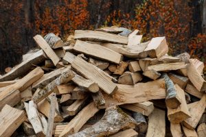 Le noisetier est-il un bon bois de chauffage pour poêle ou cheminée ?