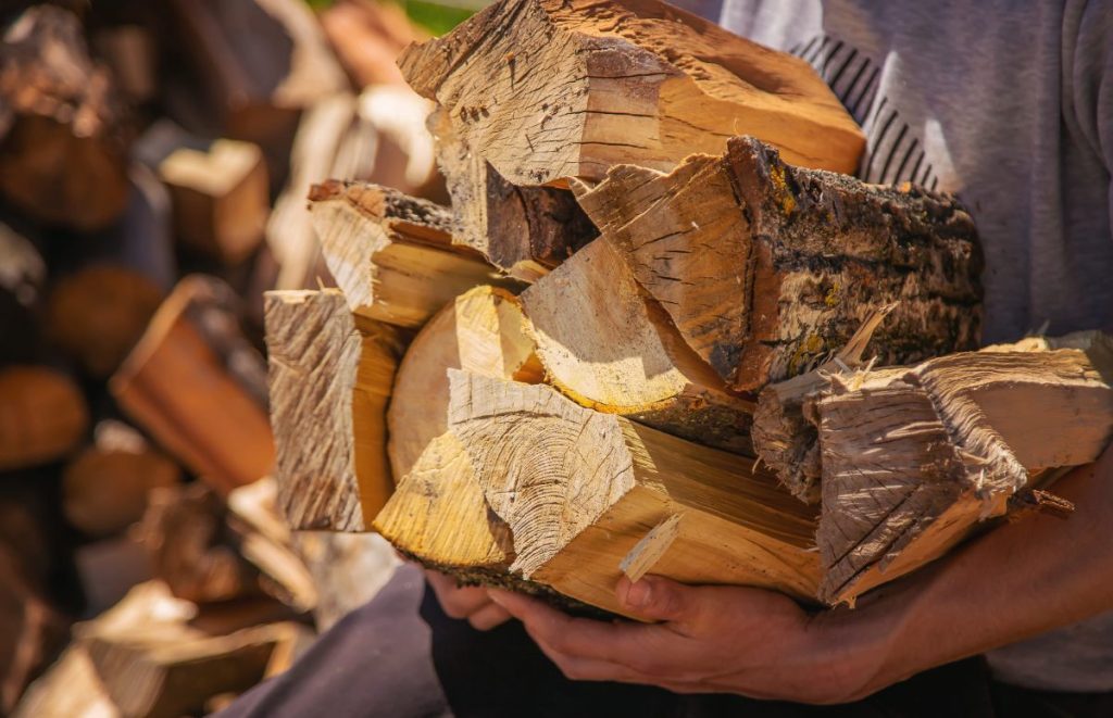 Des bûches de bois de chauffage