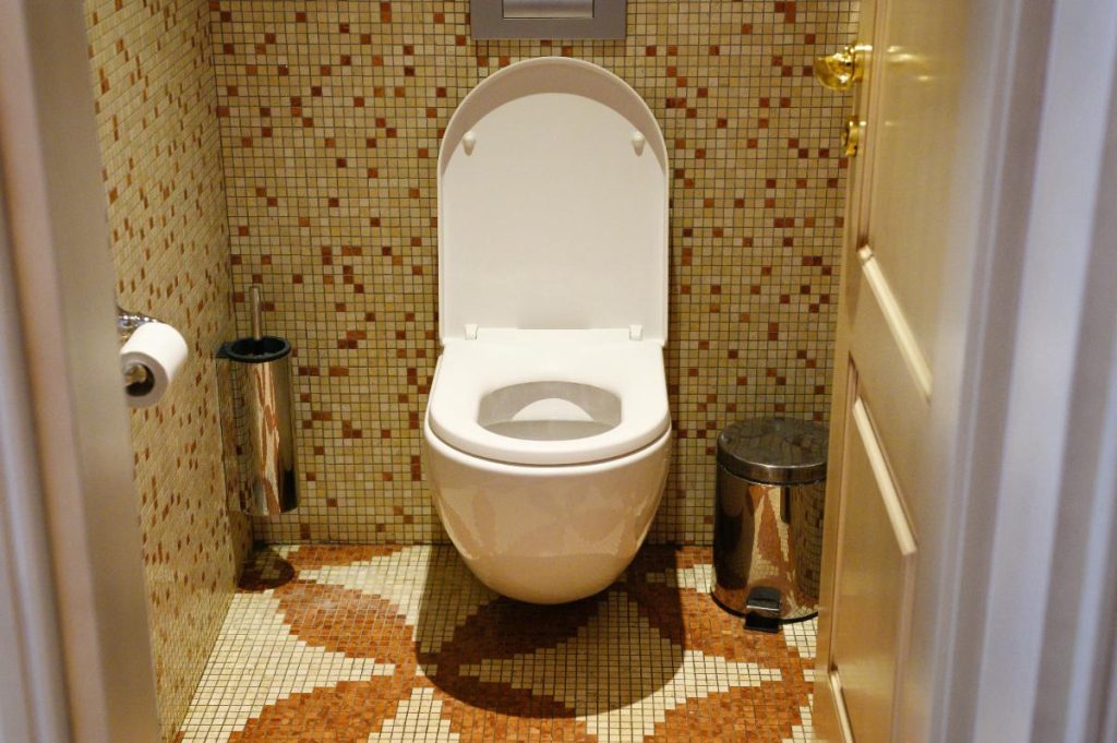 Intérieur d'une toilette avec un tapis